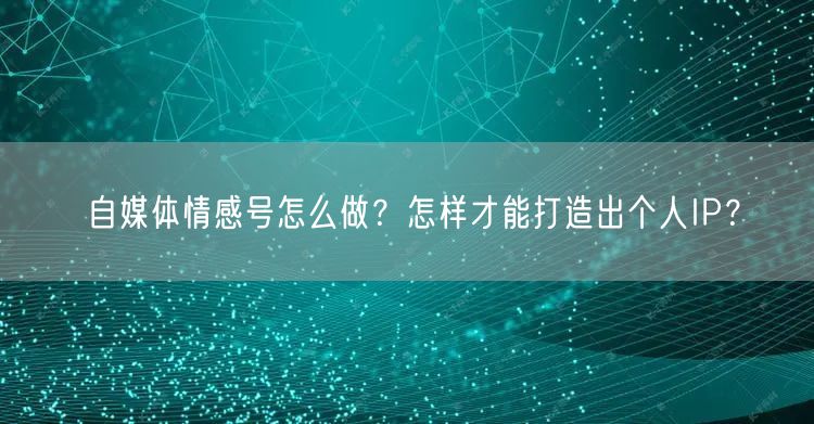 自媒体情感号怎么做?怎样才能打造出个人IP?
