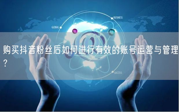 购买抖音粉丝后如何进行有效的账号运营与管理?