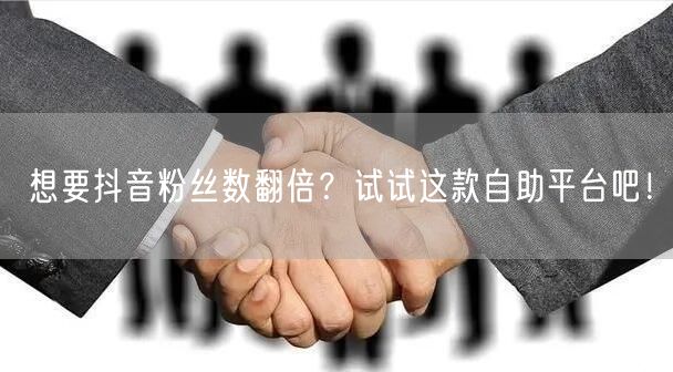 想要抖音粉丝数翻倍?试试这款自助平台吧!