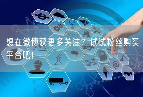 想在微博获更多关注?试试粉丝购买平台吧!