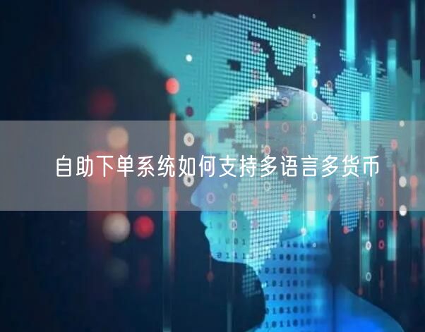 自助下单系统如何支持多语言多货币