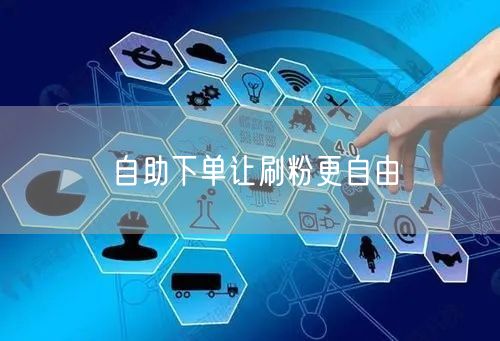 自助下单让刷粉更自由