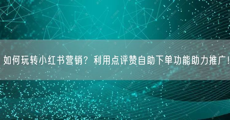 如何玩转小红书营销?利用点评赞自助下单功能助力推广!