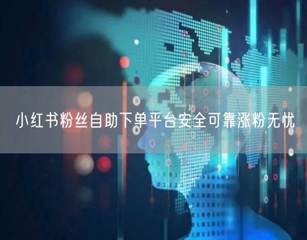 小红书粉丝自助下单平台安全可靠涨粉无忧