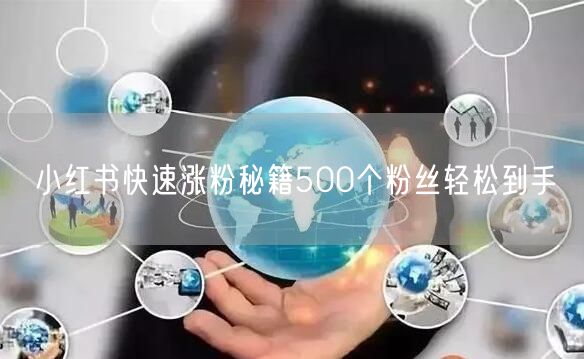 小红书快速涨粉秘籍500个粉丝轻松到手