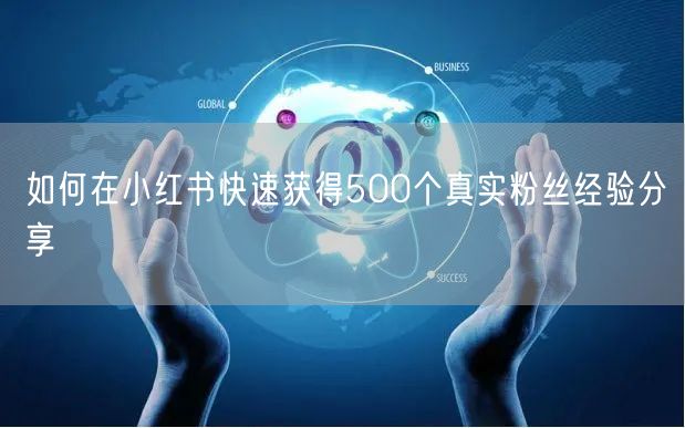 如何在小红书快速获得500个真实粉丝经验分享