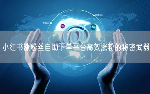 小红书涨粉丝自助下单平台高效涨粉的秘密武器