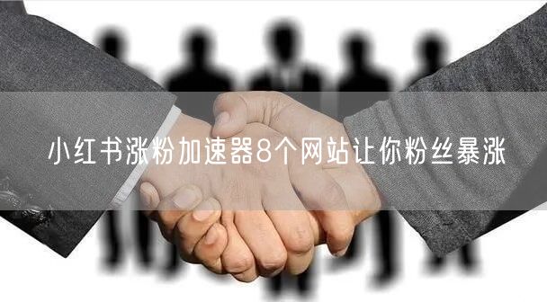 小红书涨粉加速器8个网站让你粉丝暴涨