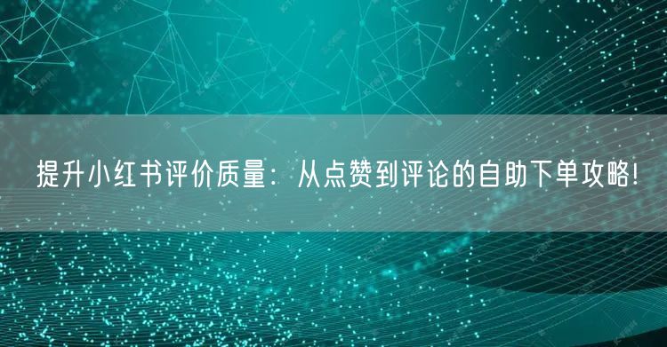 提升小红书评价质量:从点赞到评论的自助下单攻略!