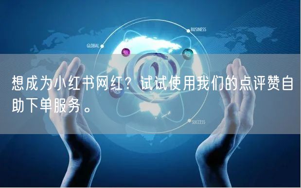 想成为小红书网红？试试使用我们的点评赞自助下单服务。