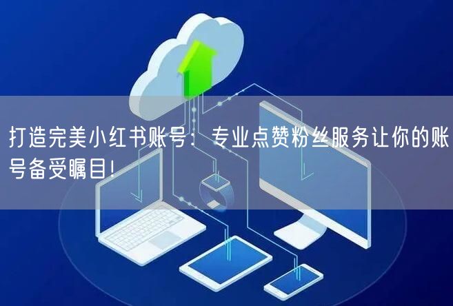 打造完美小红书账号:专业点赞粉丝服务让你的账号备受瞩目!