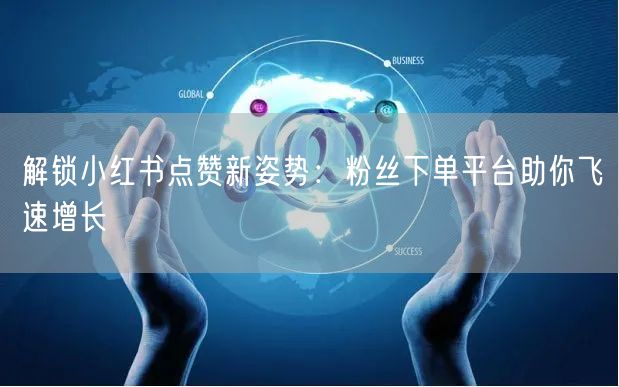 解锁小红书点赞新姿势:粉丝下单平台助你飞速增长