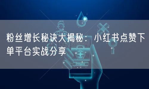 粉丝增长秘诀大揭秘:小红书点赞下单平台实战分享