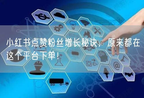 小红书点赞粉丝增长秘诀,原来都在这个平台下单!
