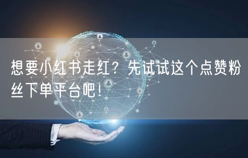 想要小红书走红?先试试这个点赞粉丝下单平台吧!