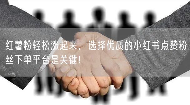 红薯粉轻松涨起来,选择优质的小红书点赞粉丝下单平台是关键!