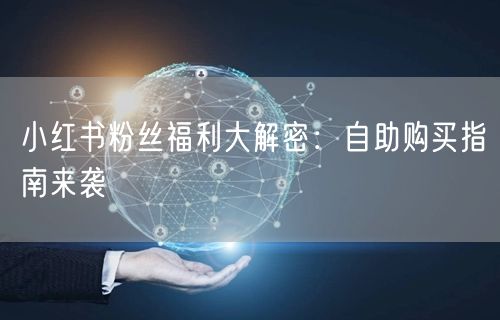 小红书粉丝福利大解密：自助购买指南来袭