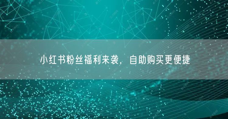 小红书粉丝福利来袭,自助购买更便捷
