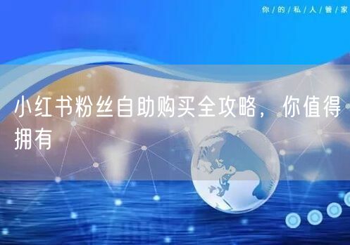 小红书粉丝自助购买全攻略,你值得拥有