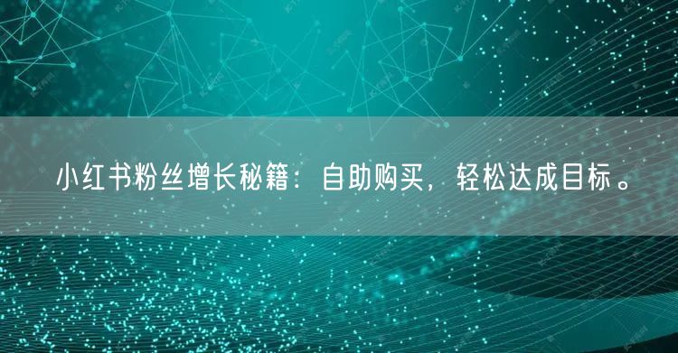小红书粉丝增长秘籍:自助购买,轻松达成目标。