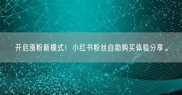 开启涨粉新模式!小红书粉丝自助购买体验分享。
