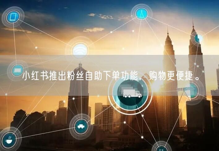 小红书推出粉丝自助下单功能,购物更便捷。