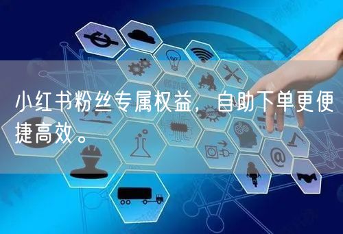 小红书粉丝专属权益,自助下单更便捷高效。