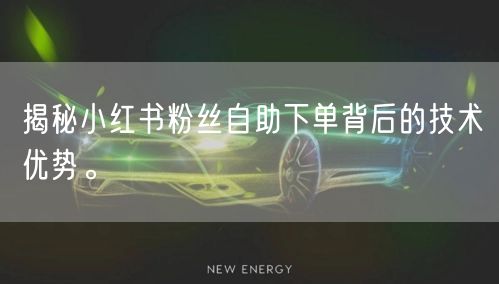 揭秘小红书粉丝自助下单背后的技术优势。
