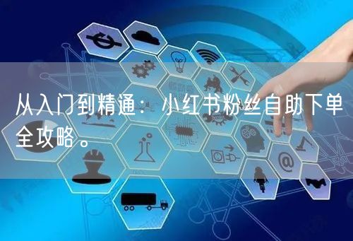 从入门到精通:小红书粉丝自助下单全攻略。