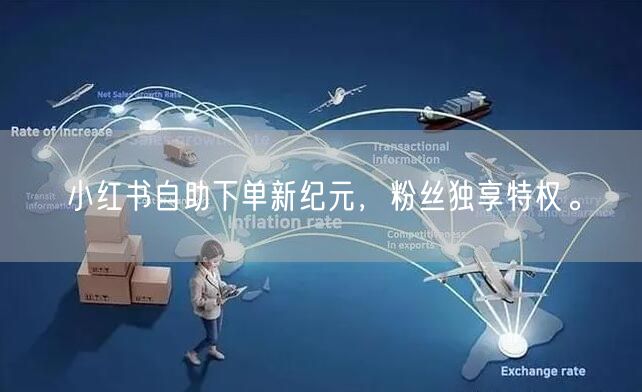 小红书自助下单新纪元,粉丝独享特权。