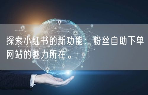 探索小红书的新功能:粉丝自助下单网站的魅力所在。