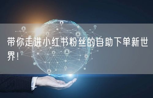带你走进小红书粉丝的自助下单新世界！
