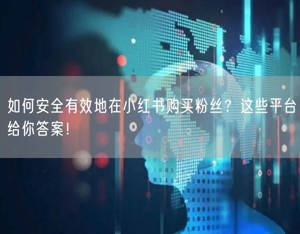 如何安全有效地在小红书购买粉丝?这些平台给你答案!