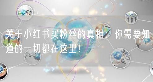 关于小红书买粉丝的真相:你需要知道的一切都在这里!