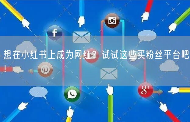 想在小红书上成为网红?试试这些买粉丝平台吧!