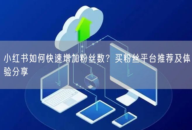 小红书如何快速增加粉丝数?买粉丝平台推荐及体验分享