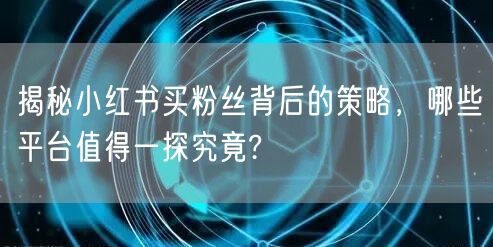 揭秘小红书买粉丝背后的策略,哪些平台值得一探究竟?