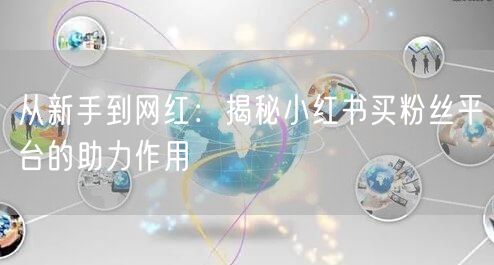 从新手到网红:揭秘小红书买粉丝平台的助力作用