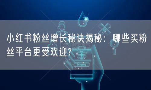 小红书粉丝增长秘诀揭秘:哪些买粉丝平台更受欢迎?