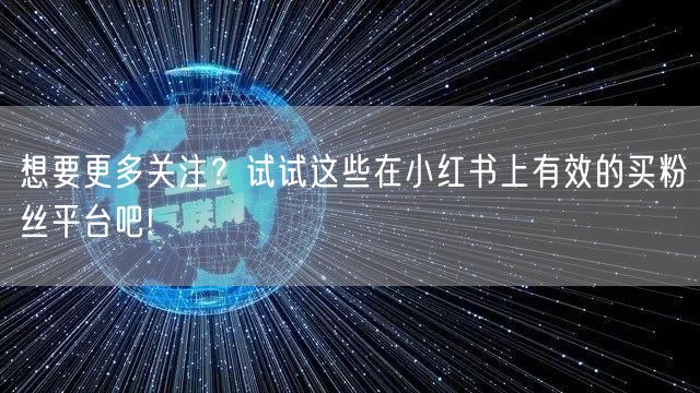 想要更多关注?试试这些在小红书上有效的买粉丝平台吧!