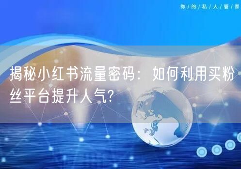揭秘小红书流量密码:如何利用买粉丝平台提升人气?
