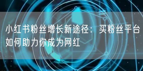 小红书粉丝增长新途径:买粉丝平台如何助力你成为网红
