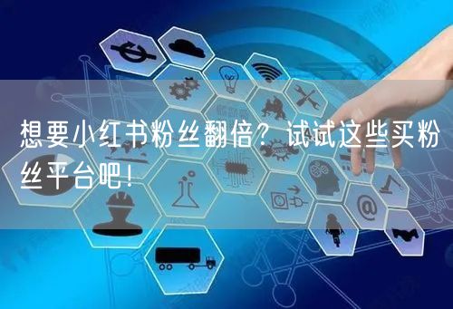 想要小红书粉丝翻倍?试试这些买粉丝平台吧!
