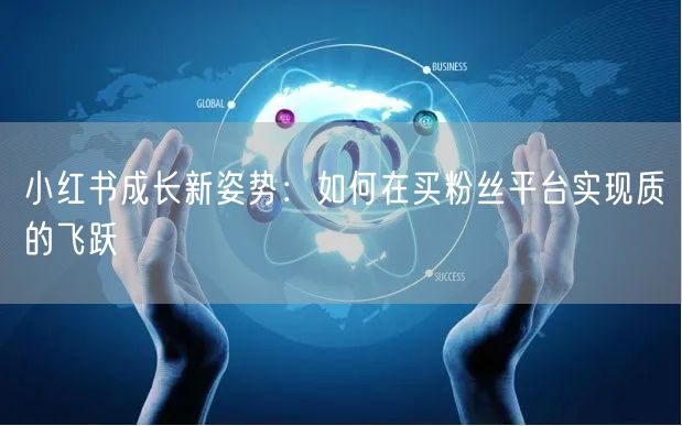 小红书成长新姿势：如何在买粉丝平台实现质的飞跃