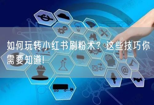 如何玩转小红书刷粉术?这些技巧你需要知道!