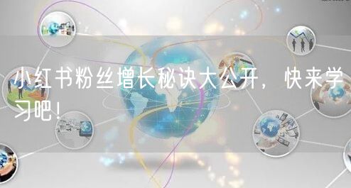 小红书粉丝增长秘诀大公开,快来学习吧!
