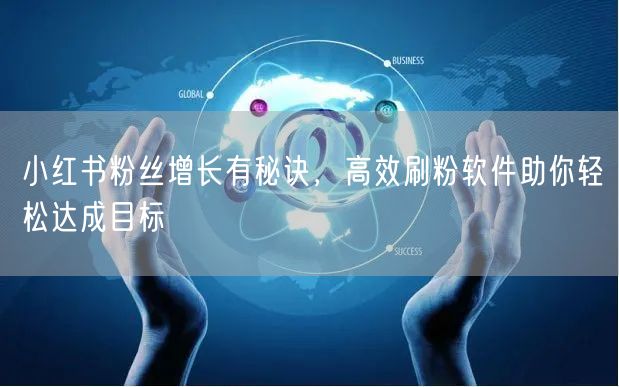 小红书粉丝增长有秘诀,高效刷粉软件助你轻松达成目标