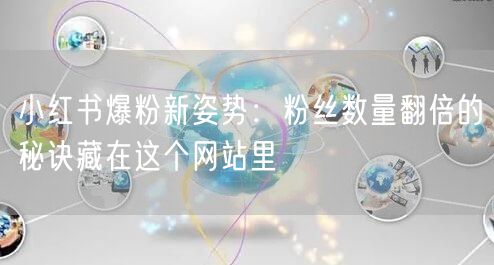 小红书爆粉新姿势:粉丝数量翻倍的秘诀藏在这个网站里