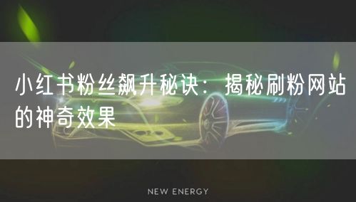 小红书粉丝飙升秘诀:揭秘刷粉网站的神奇效果