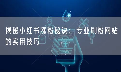 揭秘小红书涨粉秘诀：专业刷粉网站的实用技巧